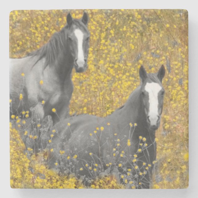 Dessous-de-verre En Pierre Moutarde et chevaux (Devant)