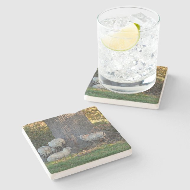 Dessous-de-verre En Pierre Mouton de Cotswold (Côté)