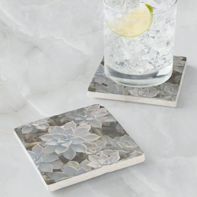 Dessous-de-verre En Pierre Naturellement Beaux succulents Botanique (Créateur téléchargé)