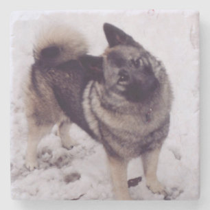 Dessous-de-verre En Pierre Norwegian_Elkhound_full 2