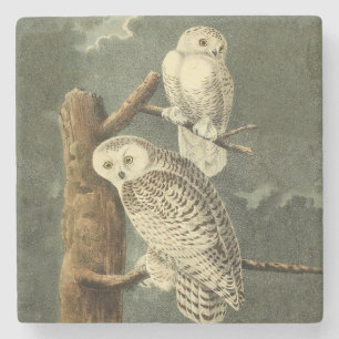 Dessous-de-verre En Pierre OEuvre d'OEuf Audubon