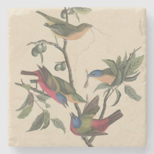 Dessous-de-verre En Pierre Oeuvre vintage d'Audubon sur le Passerin indigo, A