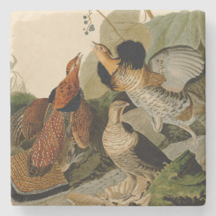 Dessous-de-verre En Pierre Oiseau de gibier Audubon