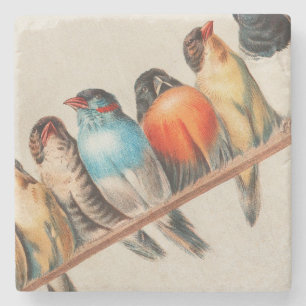 Dessous-de-verre En Pierre Oiseaux colorés sur une perche 2