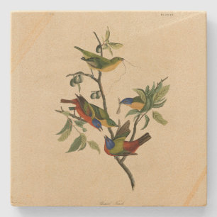 Dessous-de-verre En Pierre Oiseaux d'Amérique d'Audubon
