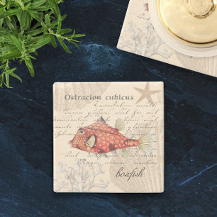 Dessous-de-verre En Pierre 🐠 Orange Vintage Illustration Nautique