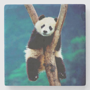 Dessous-de-verre En Pierre Ours Panda