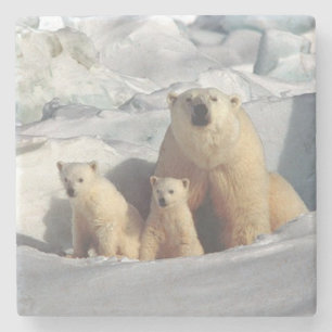 Dessous-de-verre En Pierre Ours polaire