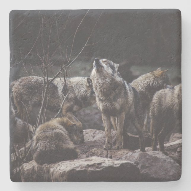Dessous-de-verre En Pierre Pack Wolf (Devant)