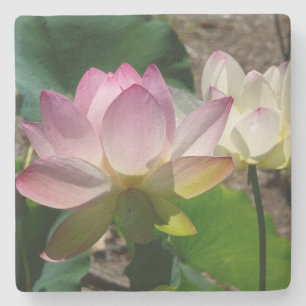 Dessous-de-verre En Pierre Pair de Lotus