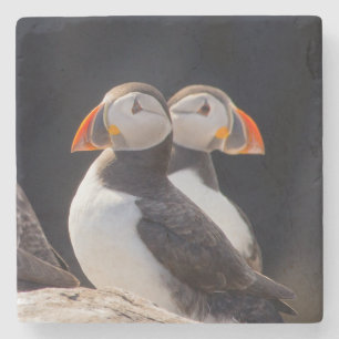Dessous-de-verre En Pierre Pair de Tampins
