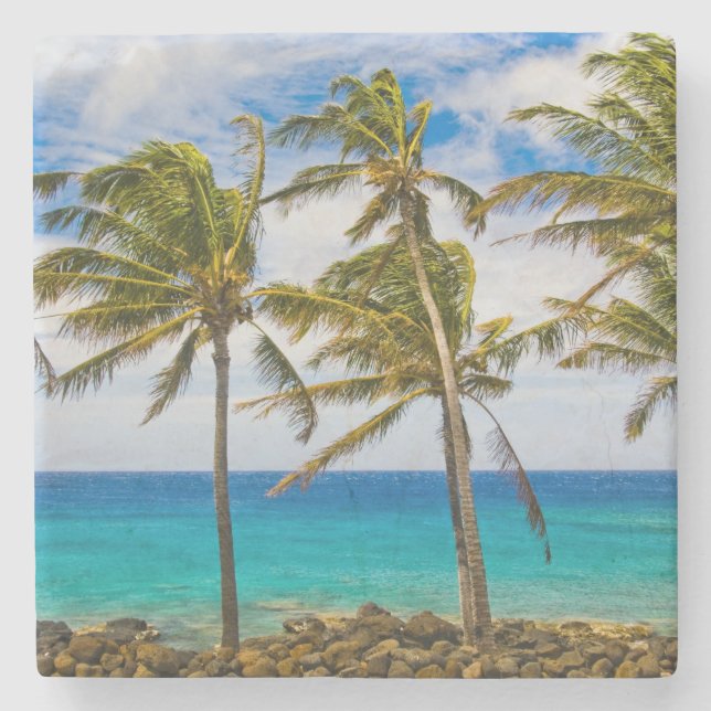Dessous-de-verre En Pierre Palmiers à noix de coco (Cocos nucifera) se balanç (Devant)