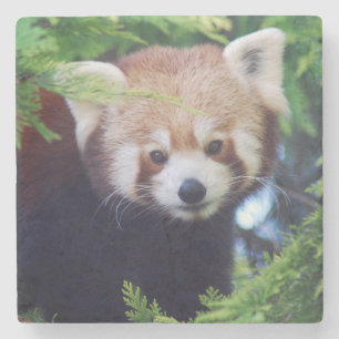 Dessous-de-verre En Pierre Panda rouge