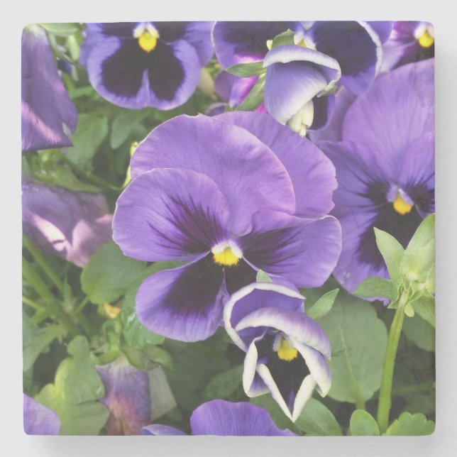Dessous-de-verre En Pierre panneaux violets (Devant)