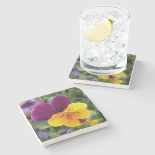 Dessous-de-verre En Pierre Pansies lumineuses