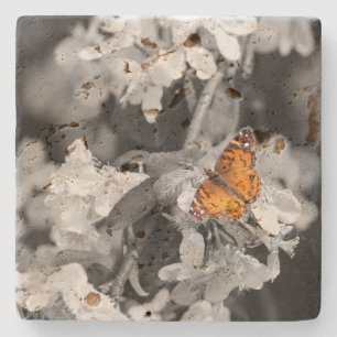 Dessous-de-verre En Pierre Papillon Lady Américain Sur Le Dessous de verre De