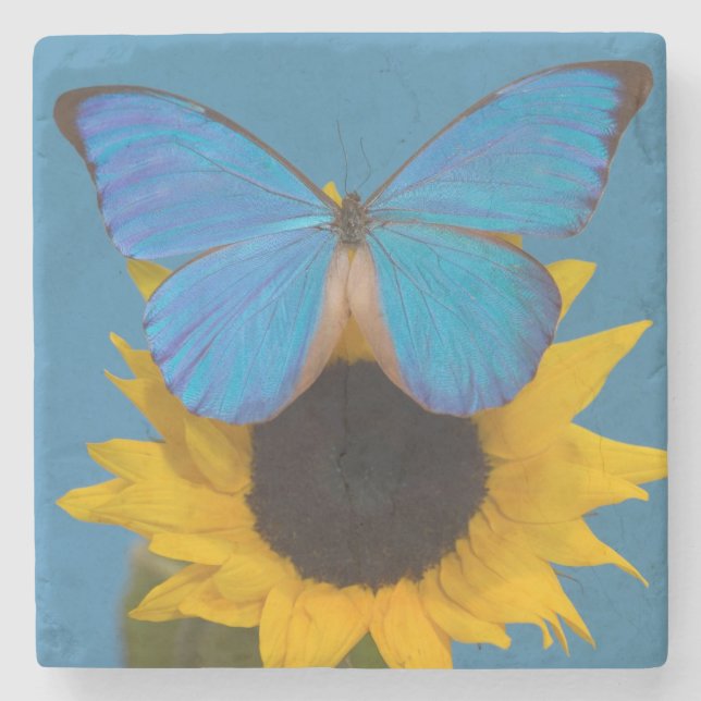 Dessous-de-verre En Pierre Papillon sur tournesol (Devant)