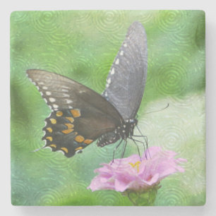 Dessous-de-verre En Pierre Papillon sur Zinnia rose
