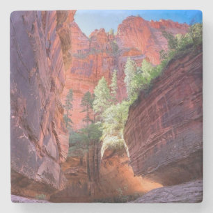 Dessous-de-verre En Pierre Parc national de Zion, Utah, États-Unis