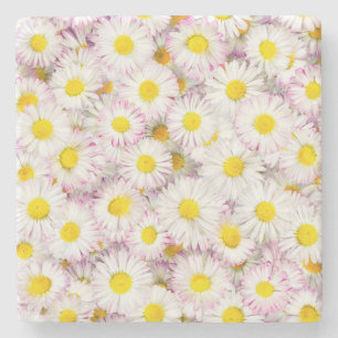 Dessous-de-verre En Pierre Patters Pink Purple Daisy Flower