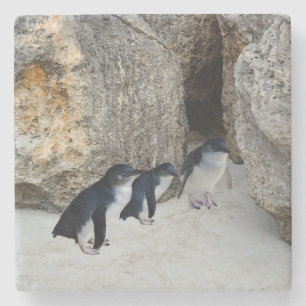 Dessous-de-verre En Pierre Penguin Beach House,
