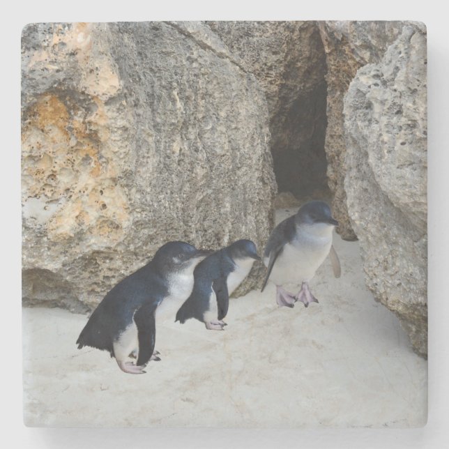 Dessous-de-verre En Pierre Penguin Beach House, (Devant)