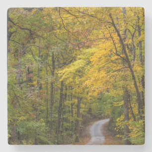 Dessous-de-verre En Pierre Petite route de gravier bordée de couleurs d'autom