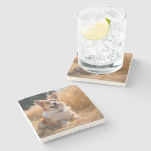 Dessous-de-verre En Pierre Photo personnalisée pour animaux