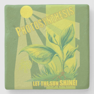 Dessous-de-verre En Pierre Photosynthèse
