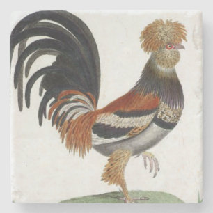 Dessous-de-verre En Pierre Pierre de marbre Oiseau français