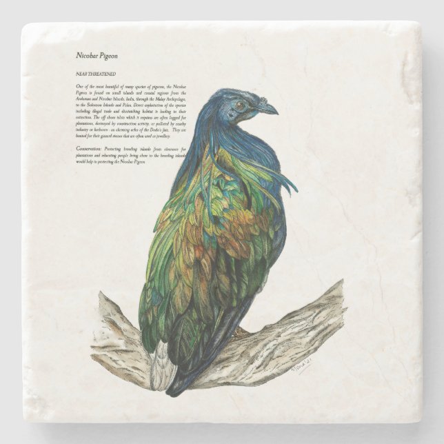 Dessous-de-verre En Pierre Pigeon nicobar en voie de disparition (Devant)