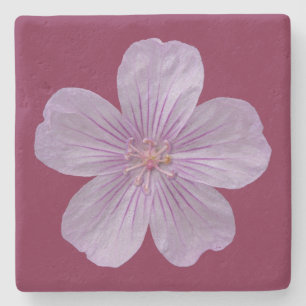 Dessous-de-verre En Pierre Pineywoods Geranium #1
