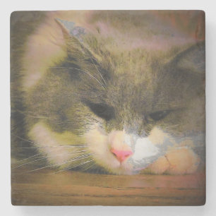 Dessous-de-verre En Pierre Pink Chat Sullen Mood Sad Kitty