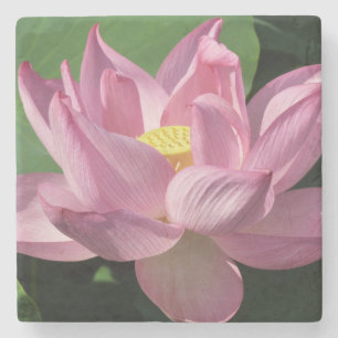 Dessous-de-verre En Pierre Pink Lotus Flower IV