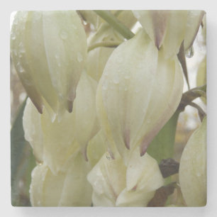 Dessous-de-verre En Pierre Plante du Yucca