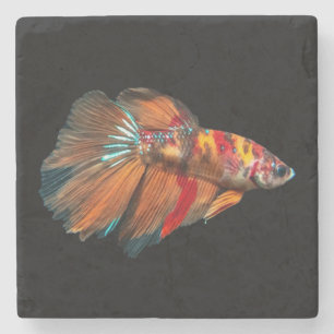 Dessous-de-verre En Pierre Poisson Betta demi-lune