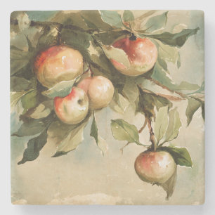 Dessous-de-verre En Pierre Pommes d'une branche