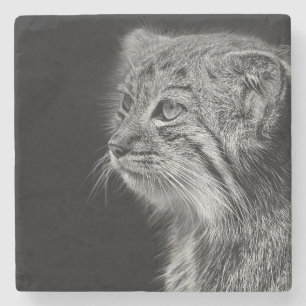 Dessous-de-verre En Pierre Portrait de chat de pallas noirs en blanc