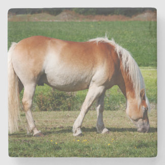 Dessous-de-verre En Pierre Portrait de cheval