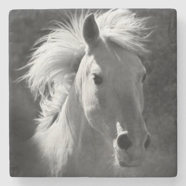 Dessous-de-verre En Pierre Portrait de cheval V (Devant)