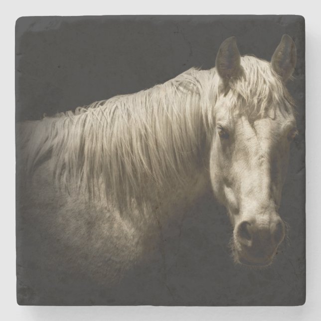 Dessous-de-verre En Pierre Portrait de cheval VI (Devant)
