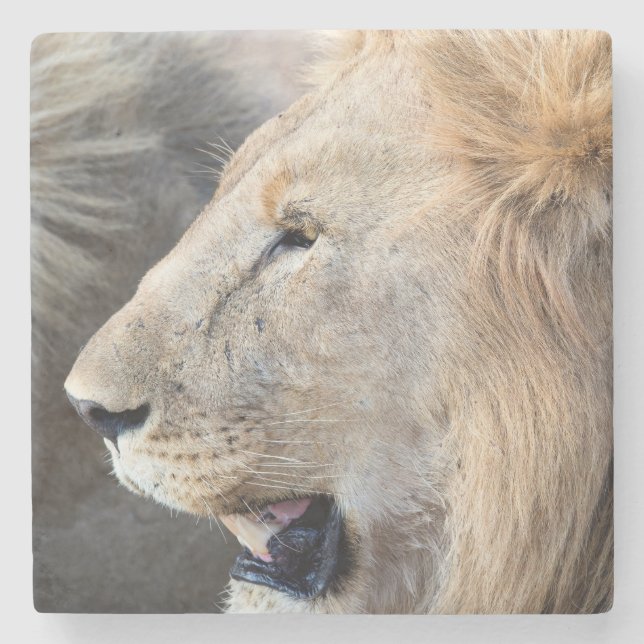 Dessous-de-verre En Pierre Portrait de Lion (Devant)