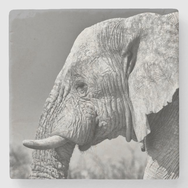 Dessous-de-verre En Pierre Portrait d'éléphant (Devant)