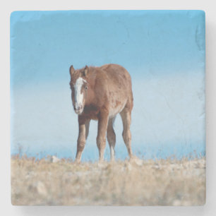 Dessous-de-verre En Pierre Poulain de cheval sauvage 