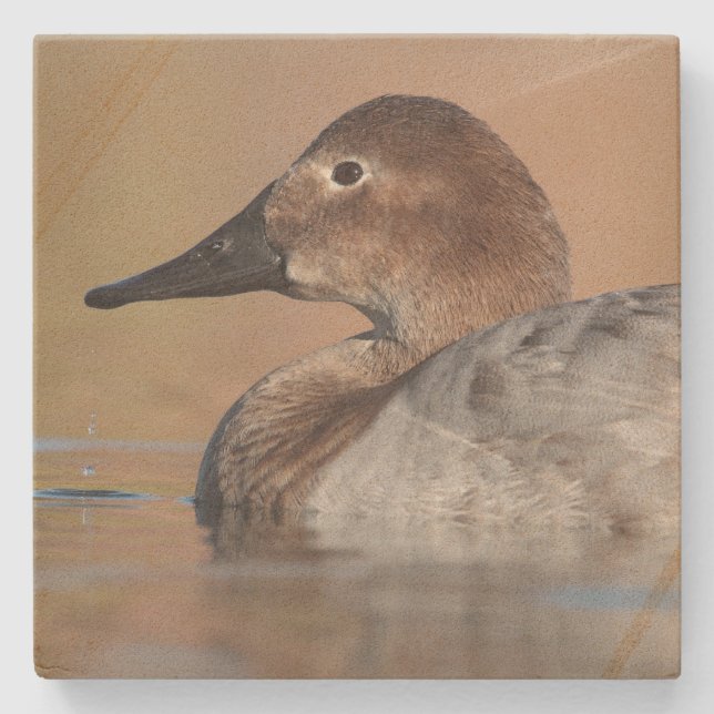 Dessous-de-verre En Pierre Profil de canard à canard à canard (Devant)