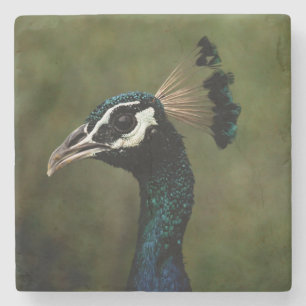 Dessous-de-verre En Pierre Profil de Peacock