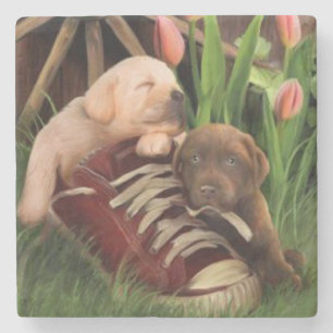 Dessous-de-verre En Pierre Puppies mignonnes au repos