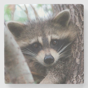 Dessous-de-verre En Pierre Racoon