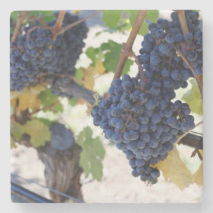 Dessous-de-verre En Pierre raisins de pinot noir