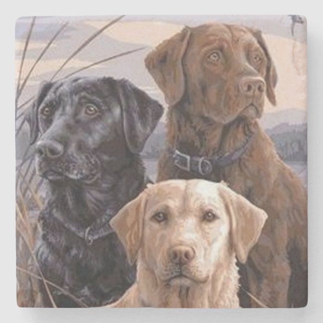 Dessous-de-verre En Pierre Récupérateurs Labrador (Devant)